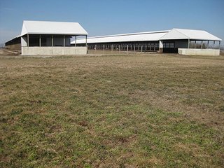 Property photo 12 - 116 +/- Acres Offered in 4 Tracts - Land & Cattle Facility Auction